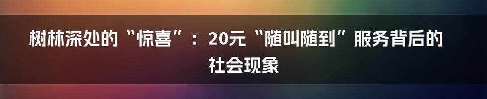 树林深处的“惊喜”:20元“随叫随到”服务背后的社会现象