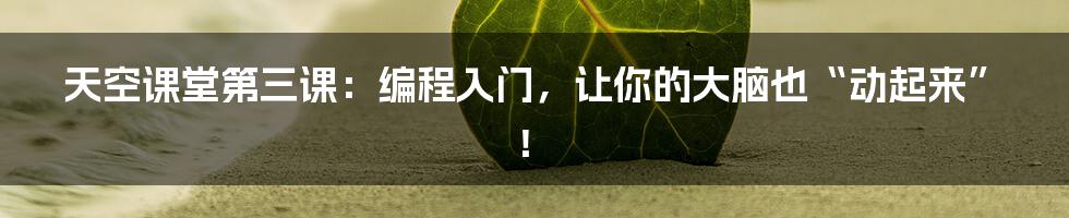 天空课堂第三课:编程入门,让你的大脑也“动起来”!