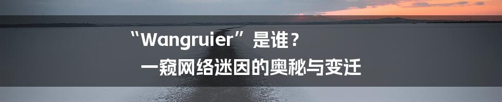 “Wangruier”是谁? 一窥网络迷因的奥秘与变迁