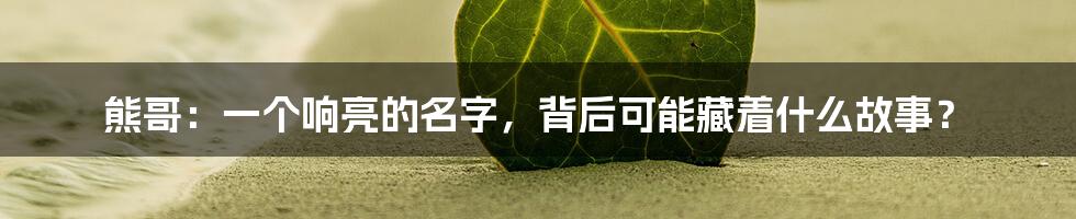 熊哥：一个响亮的名字，背后可能藏着什么故事？