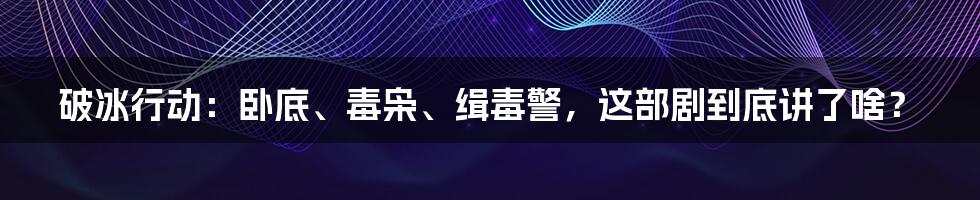 破冰行动：卧底、毒枭、缉毒警，这部剧到底讲了啥？