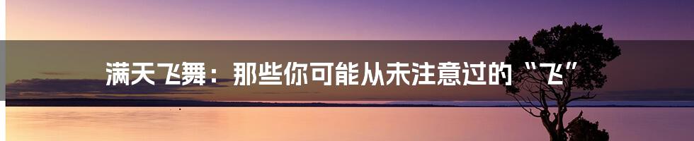满天飞舞：那些你可能从未注意过的“飞”