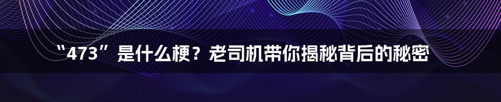 “473”是什么梗?老司机带你揭秘背后的秘密