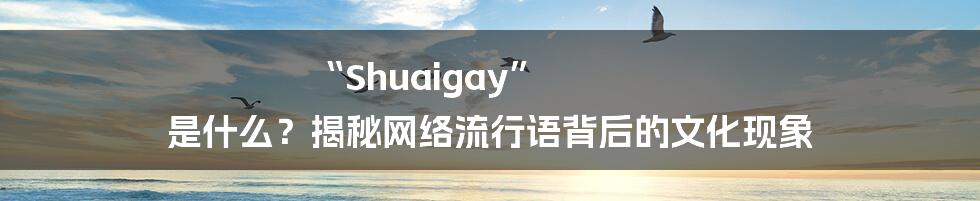“Shuaigay” 是什么?揭秘网络流行语背后的文化现象