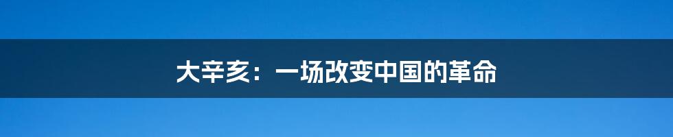 大辛亥:一场改变中国的革命