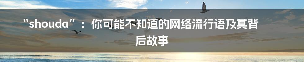 “shouda”:你可能不知道的网络流行语及其背后故事