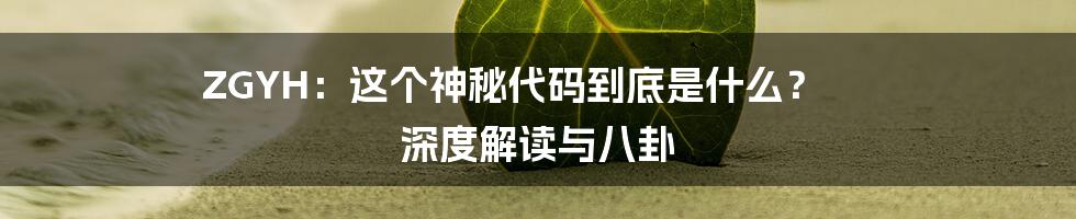 ZGYH:这个神秘代码到底是什么? 深度解读与八卦