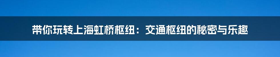 带你玩转上海虹桥枢纽:交通枢纽的秘密与乐趣
