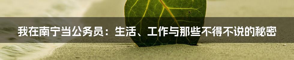 我在南宁当公务员:生活、工作与那些不得不说的秘密