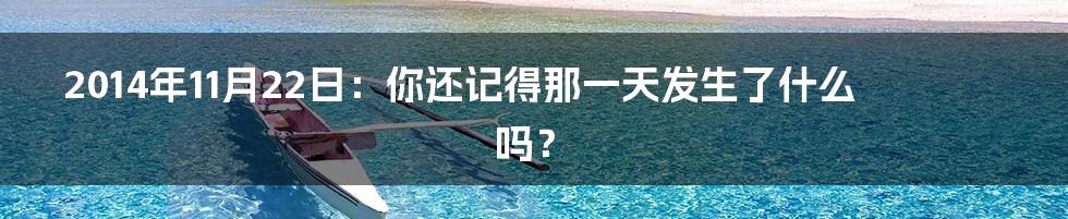 2014年11月22日:你还记得那一天发生了什么吗?
