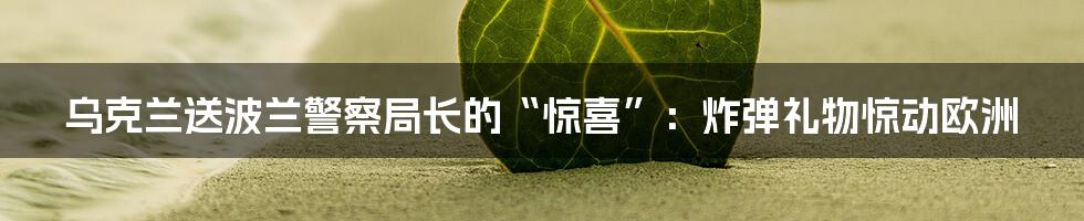 乌克兰送波兰警察局长的“惊喜”：炸弹礼物惊动欧洲