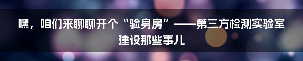 嘿，咱们来聊聊开个“验身房”——第三方检测实验室建设那些事儿