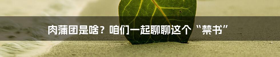 肉蒲团是啥？咱们一起聊聊这个“禁书”