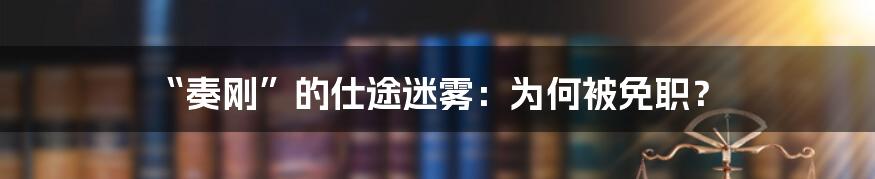 “奏刚”的仕途迷雾：为何被免职？