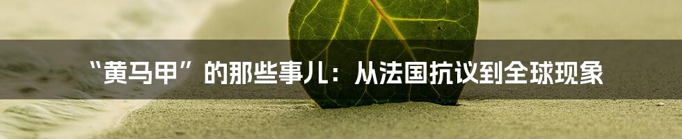 “黄马甲”的那些事儿：从法国抗议到全球现象