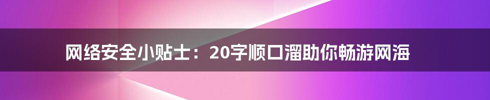 网络安全小贴士:20字顺口溜助你畅游网海