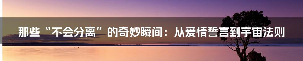 那些“不会分离”的奇妙瞬间:从爱情誓言到宇宙法则