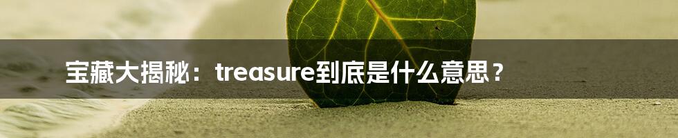 宝藏大揭秘：treasure到底是什么意思？
