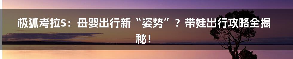 极狐考拉S:母婴出行新“姿势”?带娃出行攻略全揭秘!