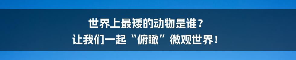 世界上最矮的动物是谁? 让我们一起“俯瞰”微观世界!