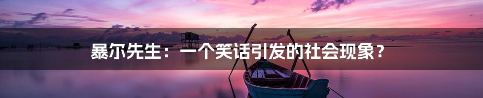 暴尔先生：一个笑话引发的社会现象？
