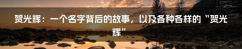 贺光辉:一个名字背后的故事,以及各种各样的“贺光辉”