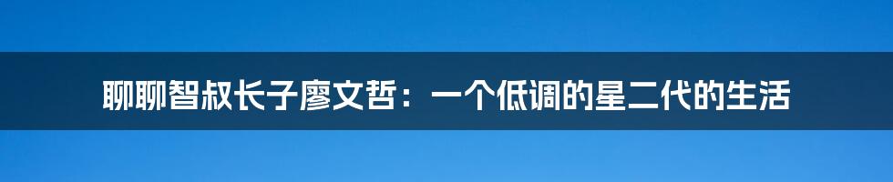 聊聊智叔长子廖文哲:一个低调的星二代的生活