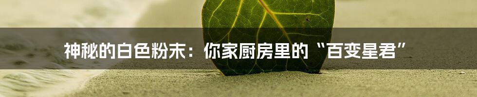 神秘的白色粉末：你家厨房里的“百变星君”