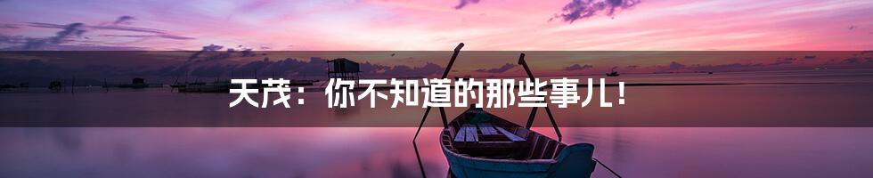 天茂：你不知道的那些事儿！