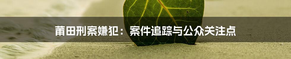 莆田刑案嫌犯:案件追踪与公众关注点
