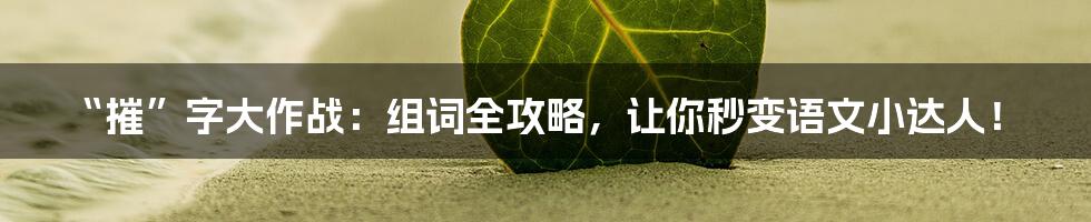 “摧”字大作战：组词全攻略，让你秒变语文小达人！