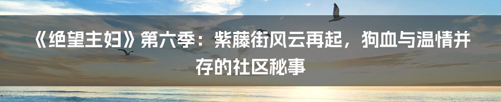 《绝望主妇》第六季:紫藤街风云再起,狗血与温情并存的社区秘事