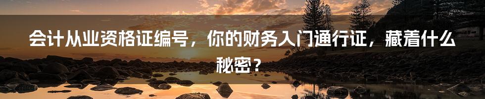 会计从业资格证编号,你的财务入门通行证,藏着什么秘密?