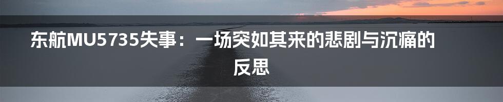 东航MU5735失事:一场突如其来的悲剧与沉痛的反思