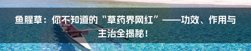 鱼腥草:你不知道的“草药界网红”——功效、作用与主治全揭秘!