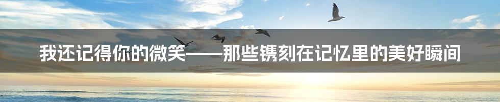 我还记得你的微笑——那些镌刻在记忆里的美好瞬间