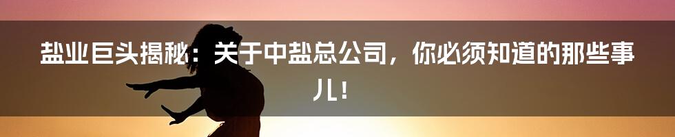 盐业巨头揭秘:关于中盐总公司,你必须知道的那些事儿!