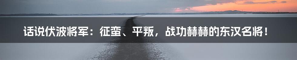 话说伏波将军:征蛮、平叛,战功赫赫的东汉名将!