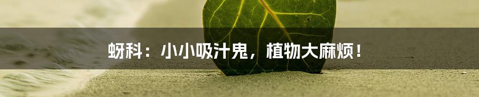蚜科:小小吸汁鬼,植物大麻烦!