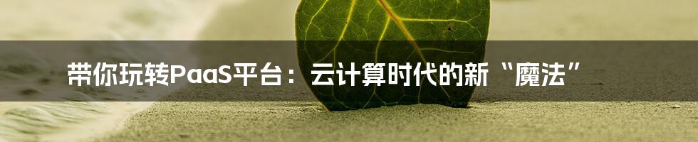 带你玩转PaaS平台:云计算时代的新“魔法”