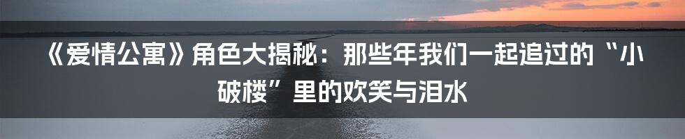 《爱情公寓》角色大揭秘：那些年我们一起追过的“小破楼”里的欢笑与泪水