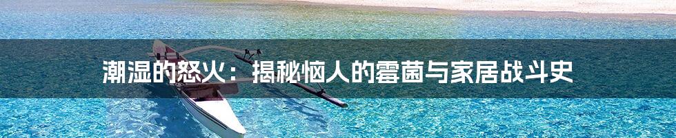 潮湿的怒火:揭秘恼人的霉菌与家居战斗史