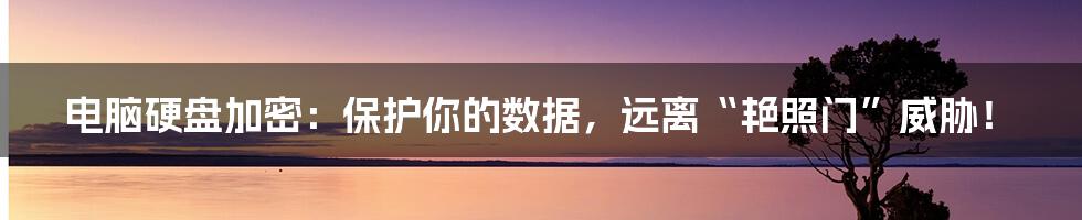 电脑硬盘加密:保护你的数据,远离“艳照门”威胁!