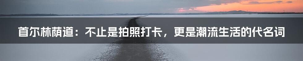 首尔林荫道:不止是拍照打卡,更是潮流生活的代名词