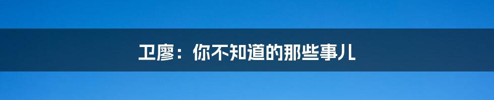 卫廖:你不知道的那些事儿