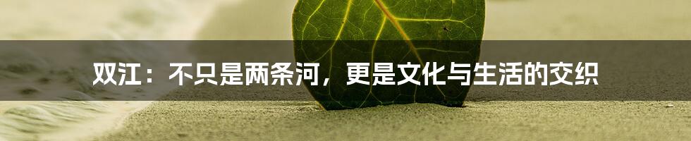 双江：不只是两条河，更是文化与生活的交织