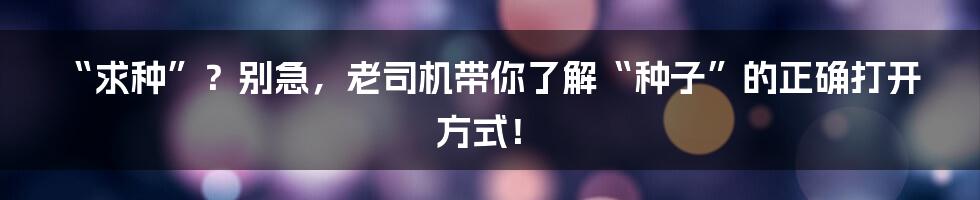“求种”？别急，老司机带你了解“种子”的正确打开方式！
