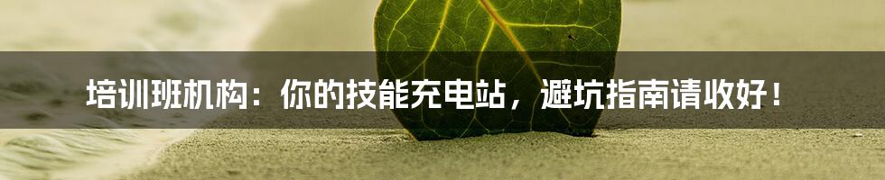 培训班机构:你的技能充电站,避坑指南请收好!