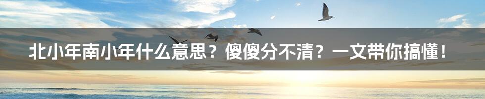 北小年南小年什么意思?傻傻分不清?一文带你搞懂!