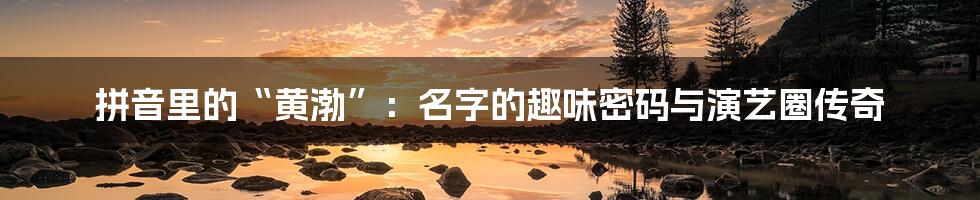 拼音里的“黄渤”:名字的趣味密码与演艺圈传奇